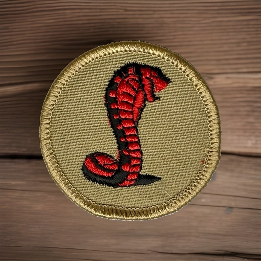 Vintage BSA Cobra Patrol Patch Boy Scouts of America Red Snake Tan Round